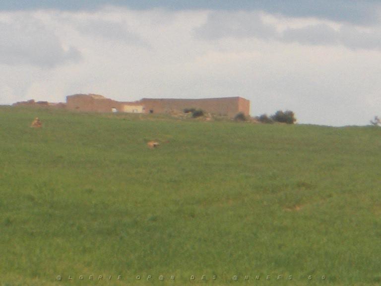 ZEGLA LA FERME route saida.jpg